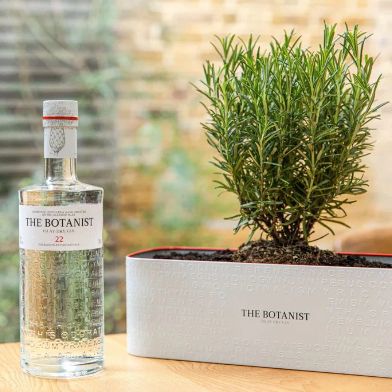 The Botanist Islay Dry Gin with FREE Tin Planter, 46% - Image 2